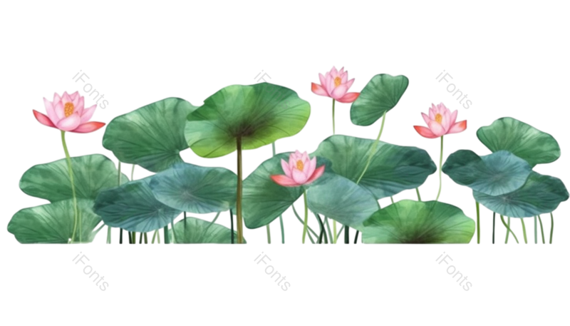 叶子图片,元素元素,荷花PNG,夏天免抠素材